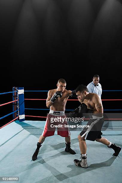 boxing match - fighting ring bildbanksfoton och bilder