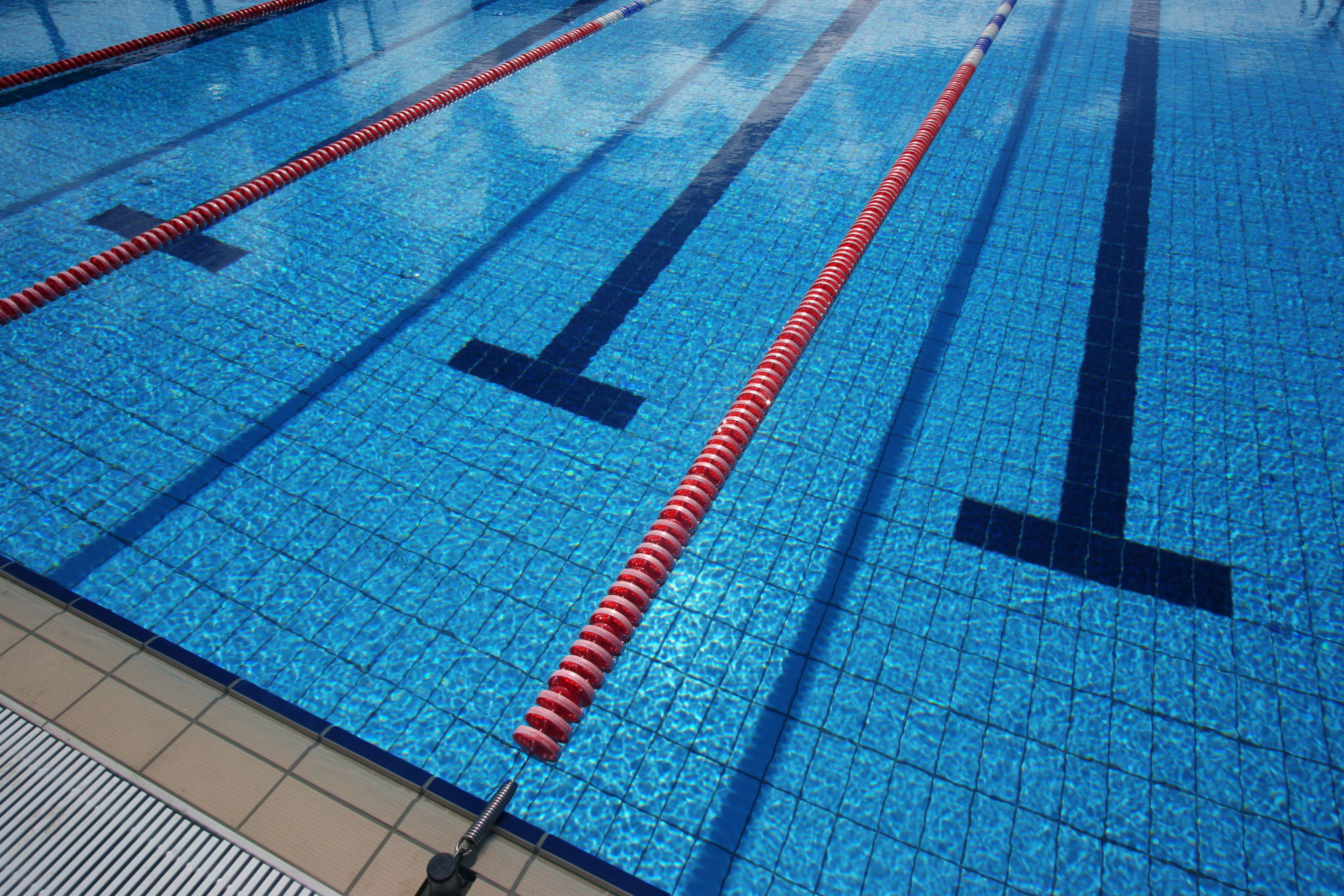university swimming