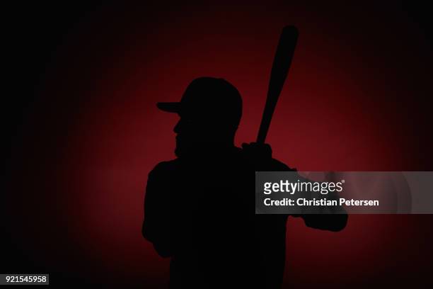 Reymond Fuentes of the Arizona Diamondbacks poses for a portrait during photo day at Salt River Fields at Talking Stick on February 20, 2018 in...
