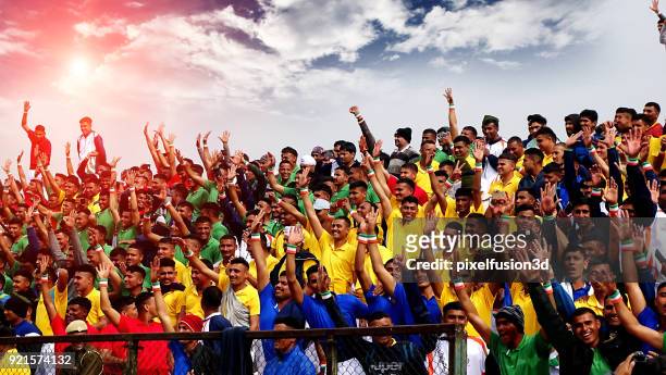 ecstatic group of people in the stadium during sports event - republic day imagens e fotografias de stock