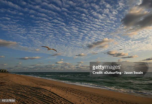 altocumulus glide, jupiter, florida - s0ulsurfing stock pictures, royalty-free photos & images