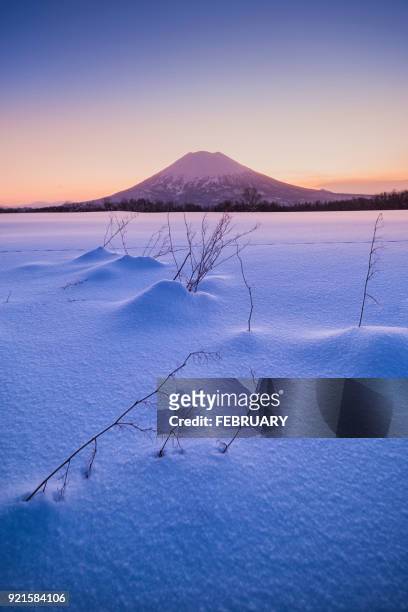 sunlight and mt yotei, hokkaido, japan - mount yotei stock pictures, royalty-free photos & images
