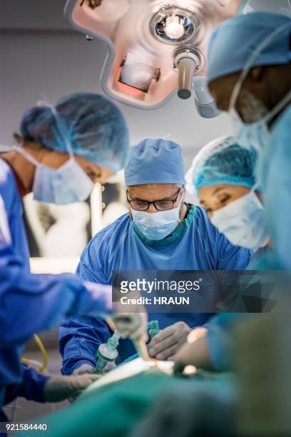 surgeons operating girl in emergency room - operação imagens e fotografias de stock