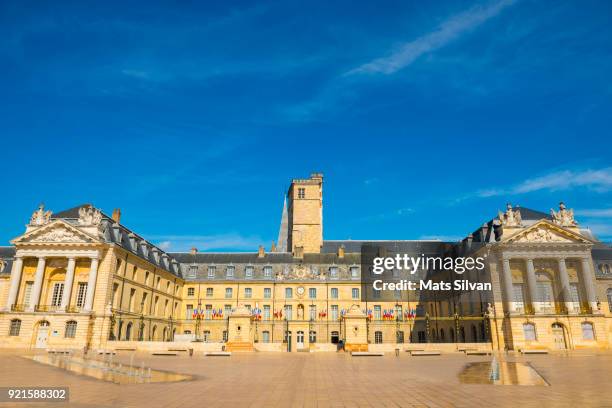 town hall on liberation square in a sunny day with blue sky and fountain in dijon - jalisco (staat) stockfoto's en -beelden