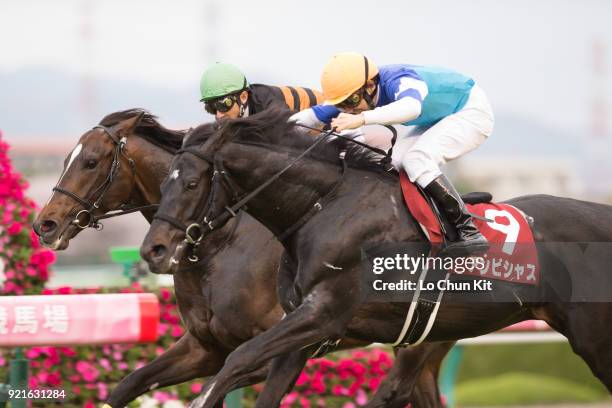 Jockey Norihiro Yokoyama riding Ambitious wins the Osaka Hai at Hanshin Racecourse on April 3, 2016 in Takarazuka, Japan. Yutaka Take riding Kitasan...