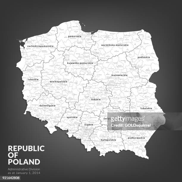 illustrazioni stock, clip art, cartoni animati e icone di tendenza di mappa amministrativa polacca altamente dettagliata con voivodati e powiat - illustrazione vettoriale - polonia