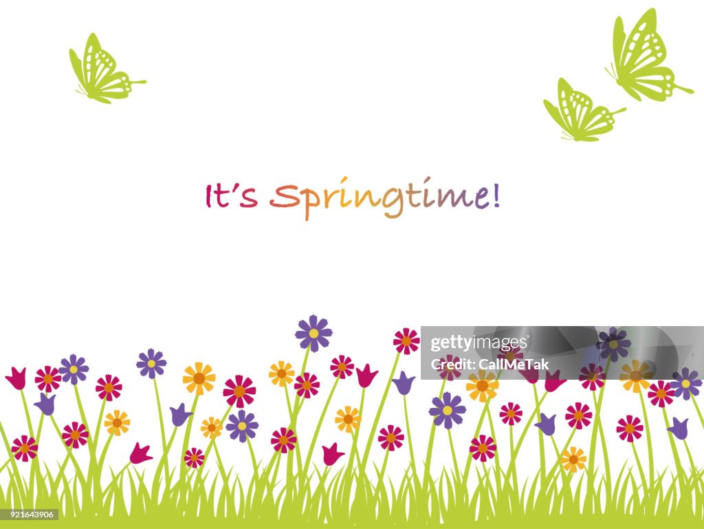 Seamless Springtime Vector Background Illustration With Herbs And Text ...