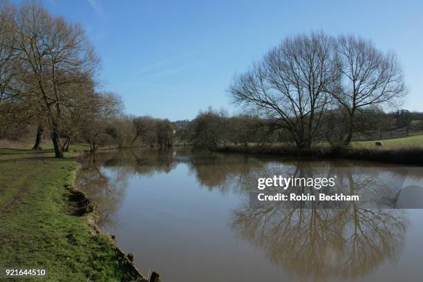 river medway at teston, blue sky in february. - river medway 個照片及圖片檔