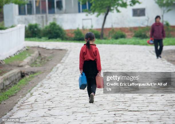 Rear view of a North Korean girl carrying water on a road, South Pyongan Province, Chongsan-ri Cooperative Farm, North Korea on May 16, 2009 in...