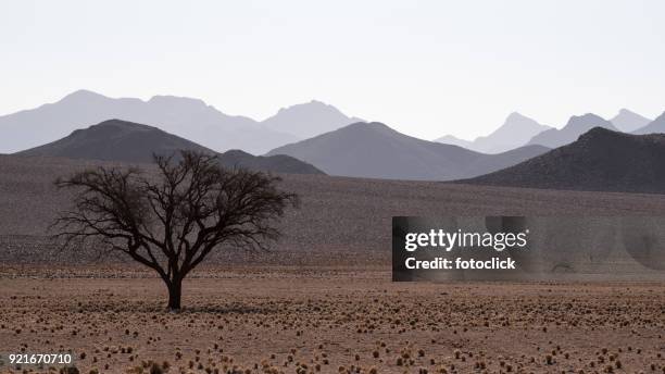 namib rand naturreservat, namibia - fotoclick stock-fotos und bilder
