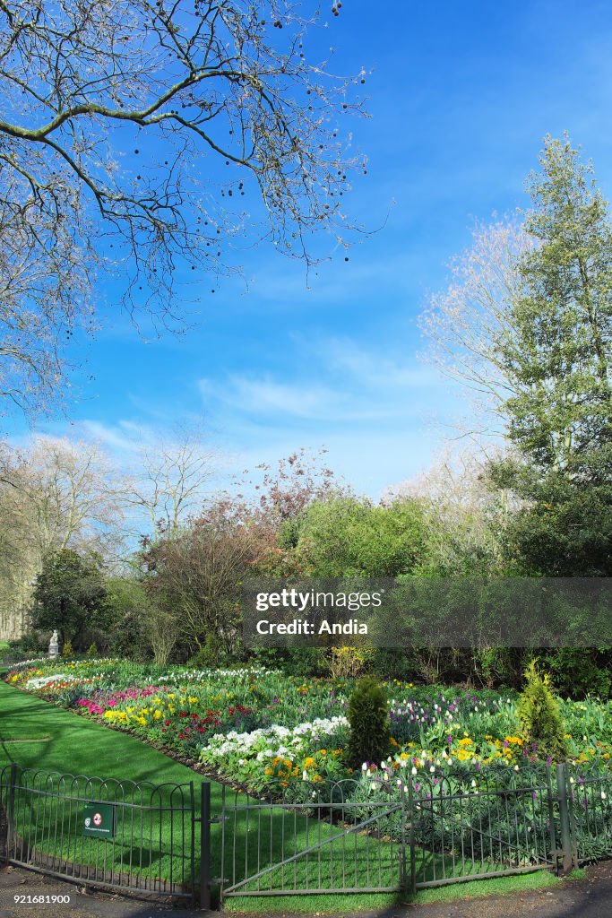 Saint James's Park.