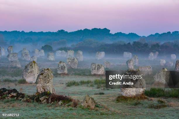 Carnac : alignments of Menhirs, standing stones of Menec.