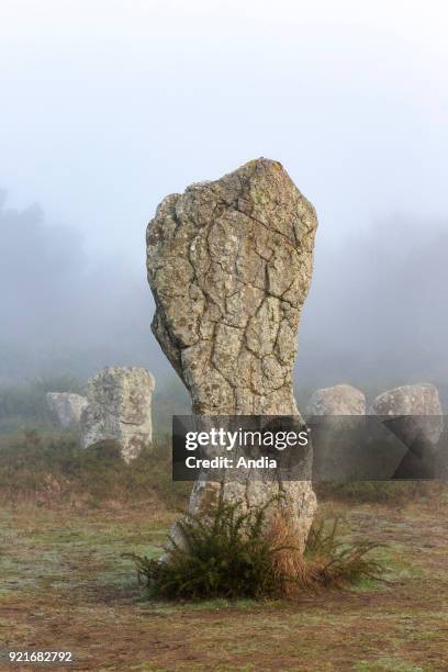 Carnac : alignments of Menhirs, standing stones of Menec.