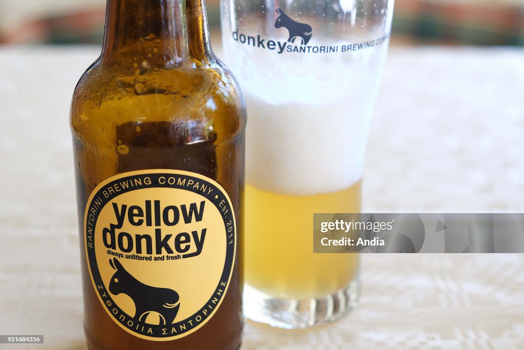 Yellow Donkey local beer.