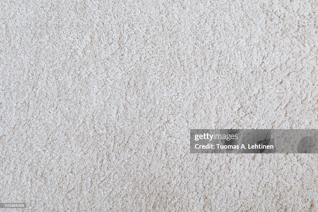 White shaggy carpet texture background viewed from above.
