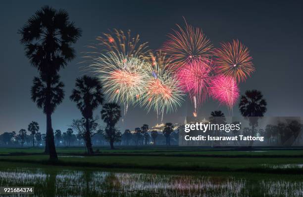 366 Fireworks On Farm Stock Photos, High-Res Pictures, and Images ...