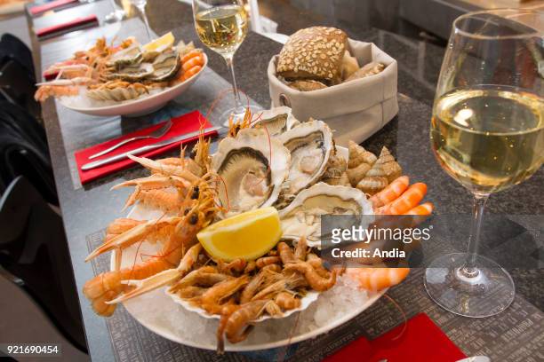 Oysters, jumbo shrimps, prawns, sand shrimp, whelks and glass of white wine.