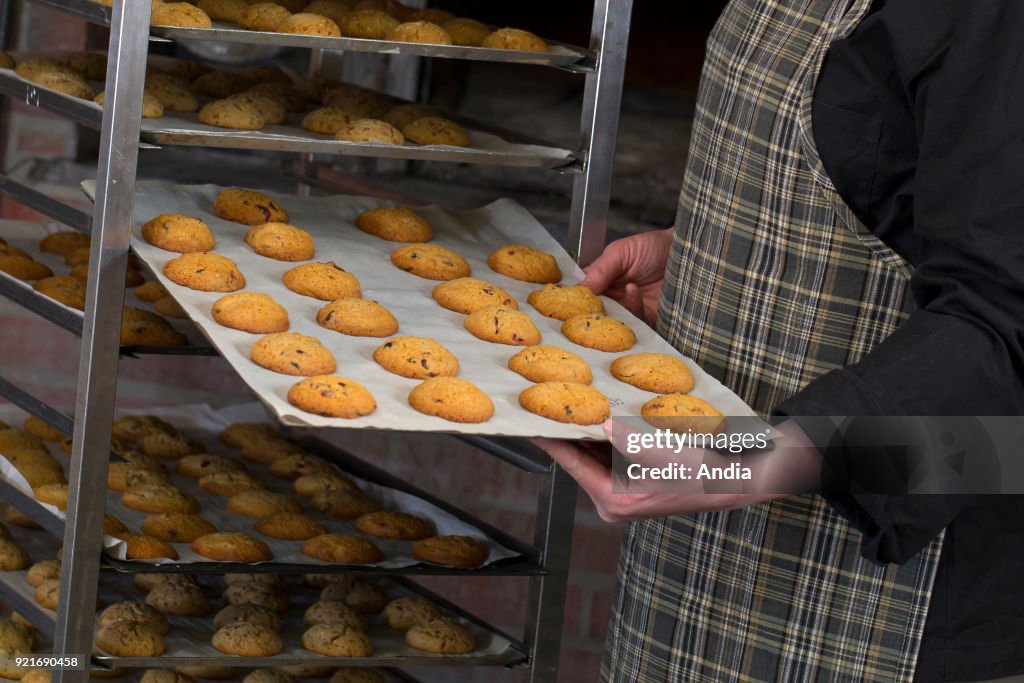 Pastry: biscuits.