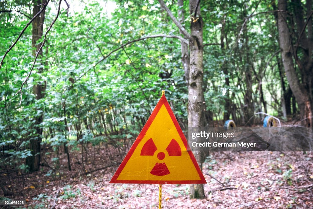 Radiation warning in Chernobyl forest