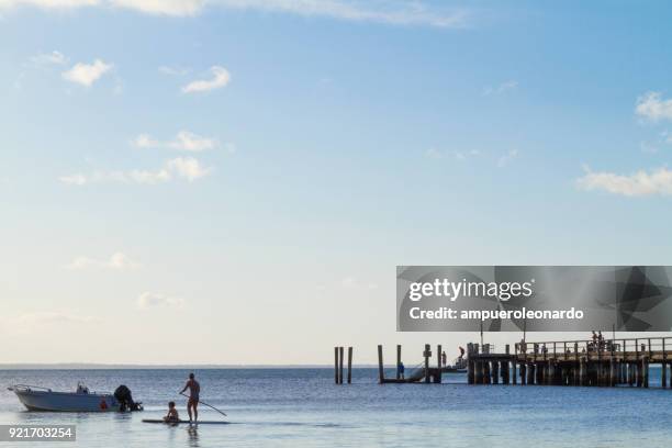 fraser island, australien - ecuadorianischer abstammung stock-fotos und bilder