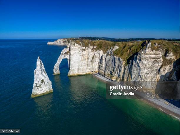 Etretat : cliffs along the Norman coast 'Cote d'Albatre'. The 'Porte d'Aval' arch and L'Aiguille .