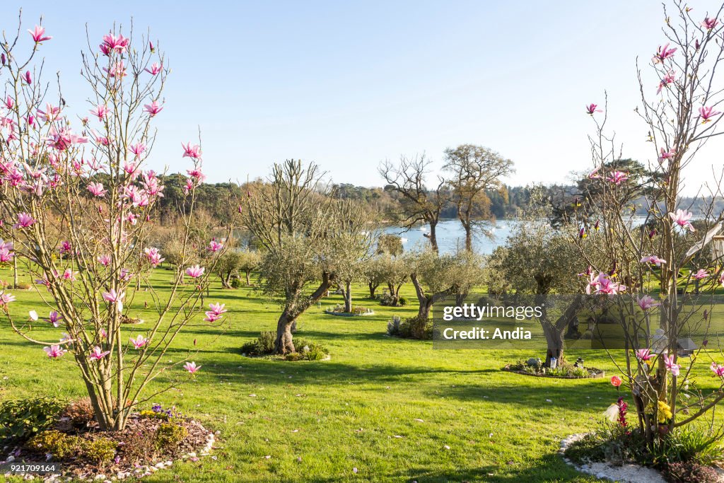 Les Jardins de Memoire' (The Memory Gardens).