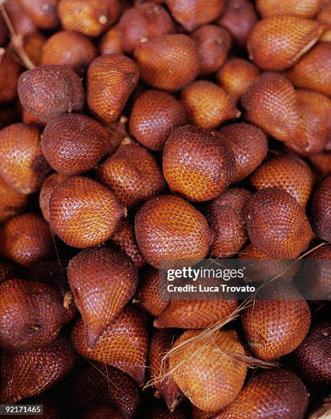 pile of snakeskin fruit - snake fruit stock pictures, royalty-free photos & images