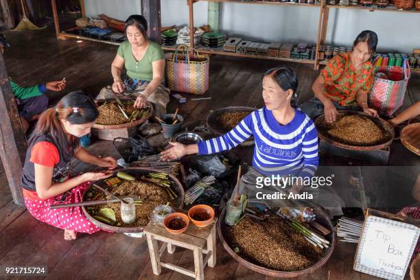 Cheroot cigar making workshop in the village of Nam Pan, Inle Lake. Women at work, rolling cigars.