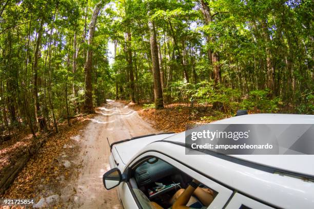 group of travelers driving a 4x4 and enjoying vacations on fraser island, queensland, australia - four wheel drive stock pictures, royalty-free photos & images