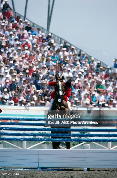 Axel Verlooy, Equestrian team jumping competition, Santa Anita Park, at the 1984 Summer Olympics, August 7, 1984.