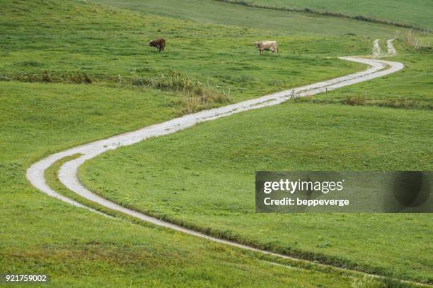 altopiano di asiago - altopiano stockfoto's en -beelden