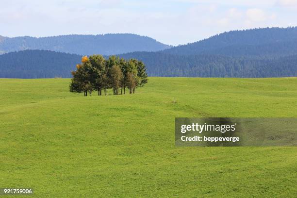 altopiano di asiago - altopiano stockfoto's en -beelden