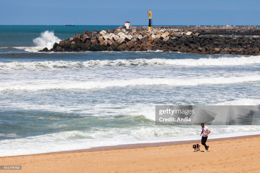 Beach 'plage des Cavaliers' in Anglet.