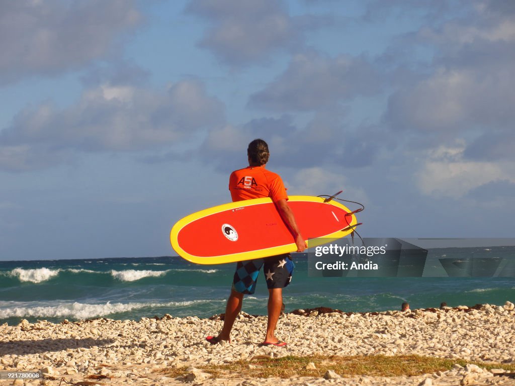 Guadeloupe, beach 'plage du Helleux': surfer.