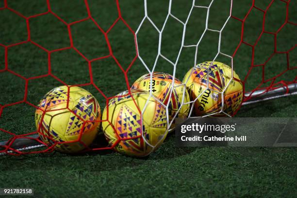 Mitre match balls lie in the goal net during the Sky Bet Championship match between Brentford and Birmingham City at Griffin Park on February 20,...