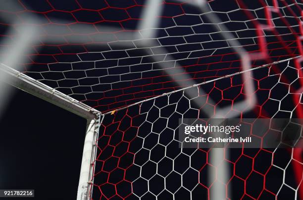 General view of the red and white goal net before the Sky Bet Championship match between Brentford and Birmingham City at Griffin Park on February...