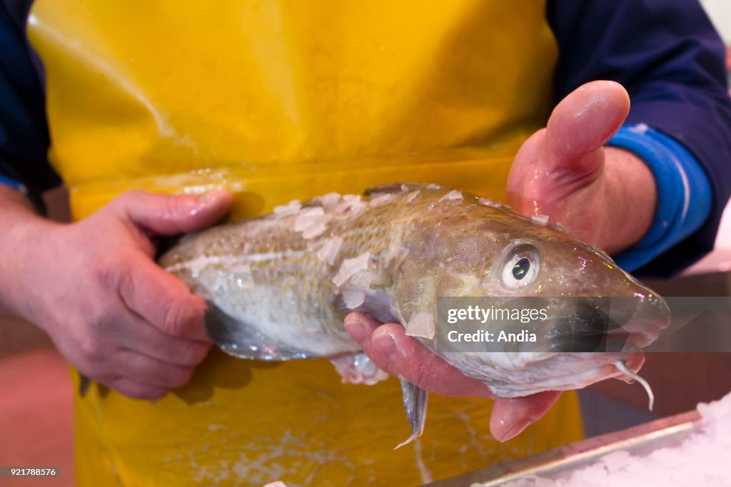 Fishmonger holding a fish in his hands.