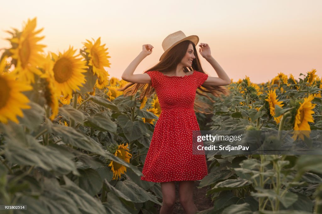 Sunflower Dance