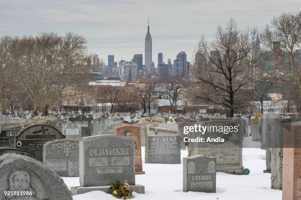 The city and Green-Wood Cemetery in Brooklyn.