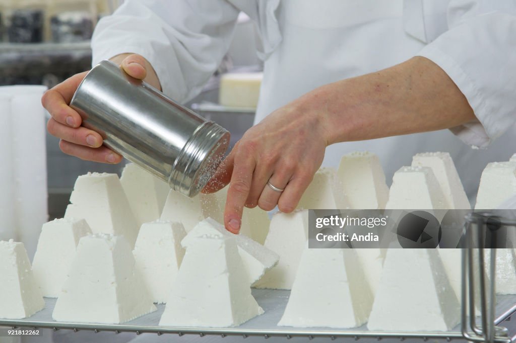 Goat's cheese making.