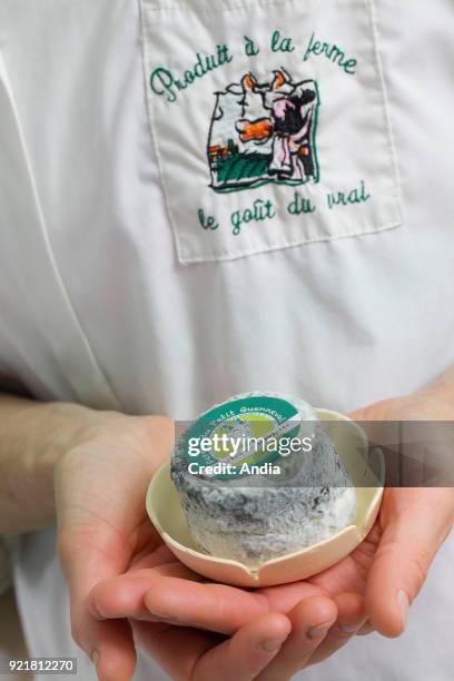 Goat's cheese making at the farm 'La Ferme du Petit Quenneval' in Wirwignes . Workshop, goat's milk cheese: savory marbled cheese, unpasteurized...