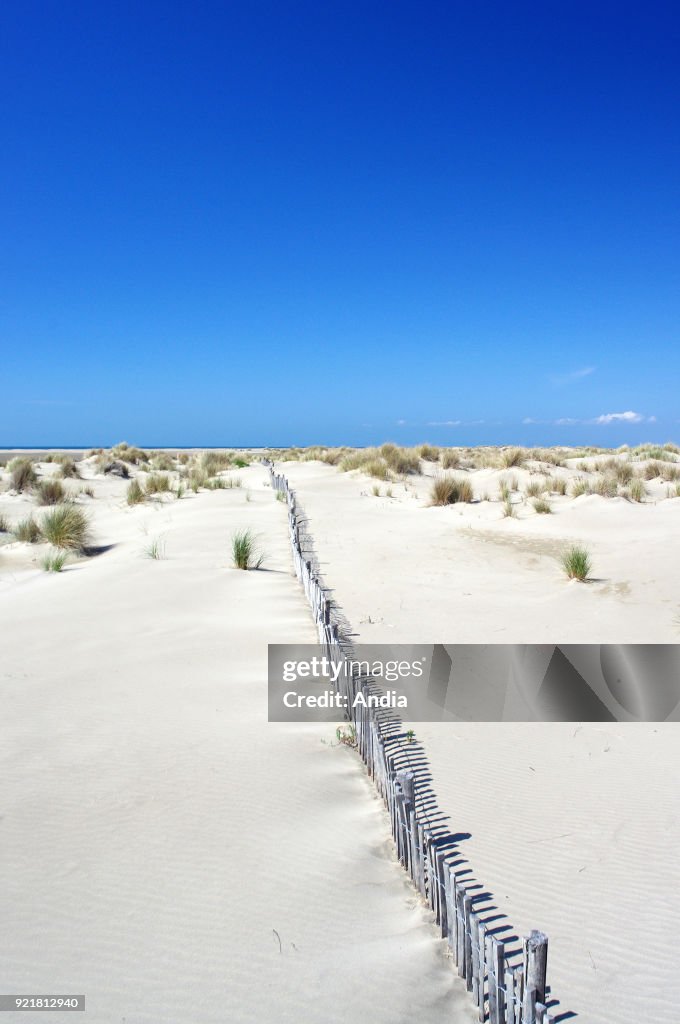 Dunes of the 'Pointe de l'Espiguette' headland in Le Grau-du-Roi.