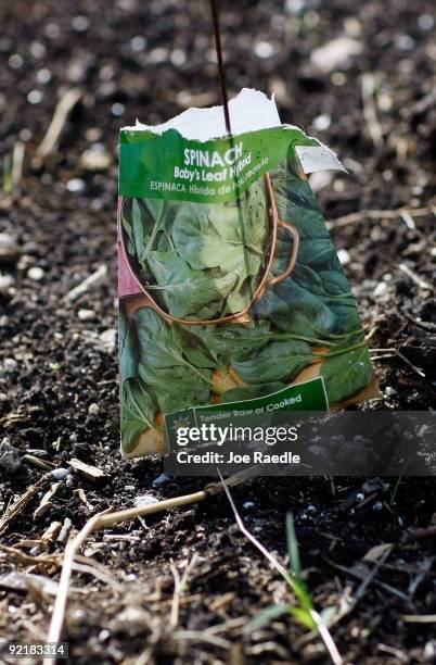 Seed package marks the spot where spinach is planted in the Roots in the City urban garden in the Overtown neighborhood on October 21, 2009 in Miami,...