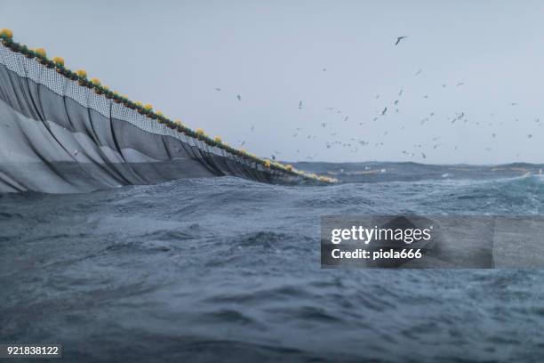 fishingboat vessel fishing in a rough sea - trawler net stock pictures, royalty-free photos & images