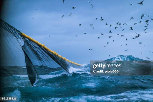 fishingboat vessel fishing in a rough sea - trapped bird stock pictures, royalty-free photos & images