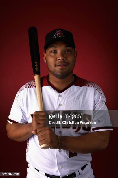 Yasmany Tomas of the Arizona Diamondbacks poses for a portrait during photo day at Salt River Fields at Talking Stick on February 20, 2018 in...