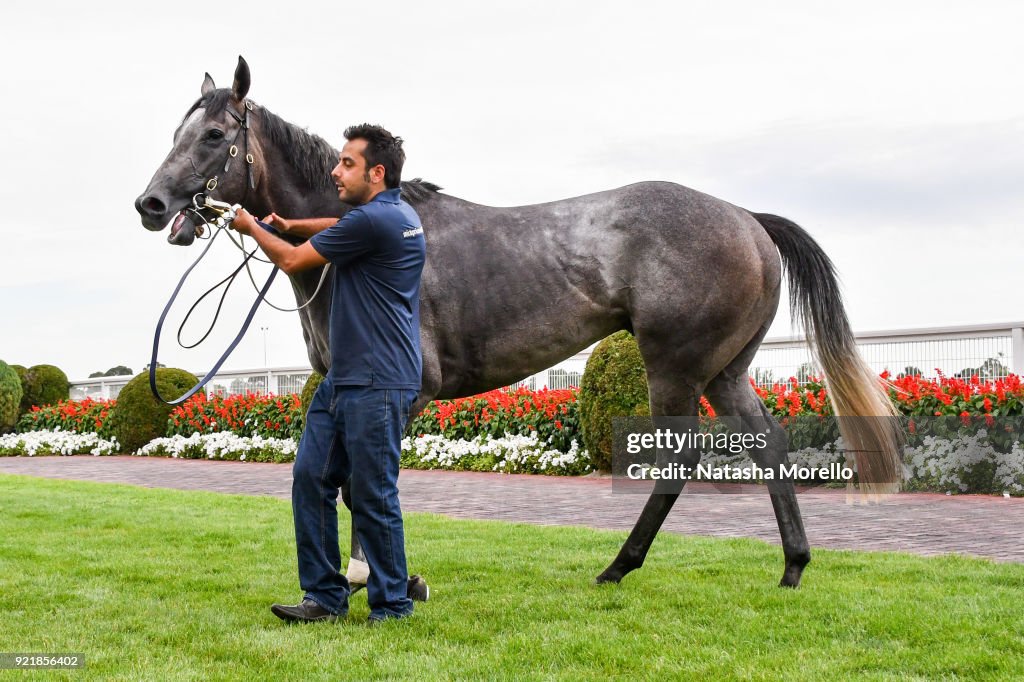 Dream Thoroughbreds Plate