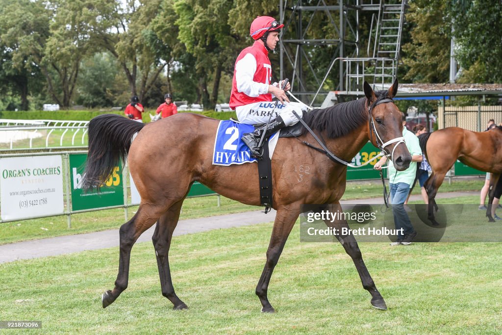 Iron Jack F&M Maiden Plate