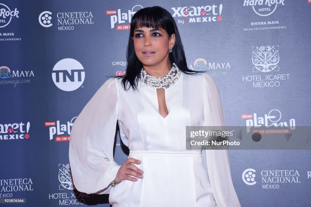 5th Platinum Ibero-American Film Awards photocall