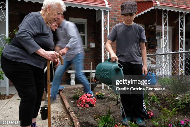 family showing three generations gardening together in front yard - bronx neighborhood stock pictures, royalty-free photos & images